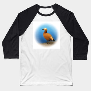 Ruddy shelduck Baseball T-Shirt